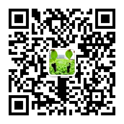 蔬菜育苗基質(zhì)-栽培基質(zhì)-湖南省湘暉農(nóng)業(yè)技術(shù)開發(fā)有限公司-