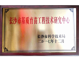 榮譽(yù)資質(zhì)標(biāo)題十三