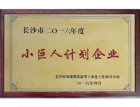 榮譽(yù)資質(zhì)標(biāo)題十四