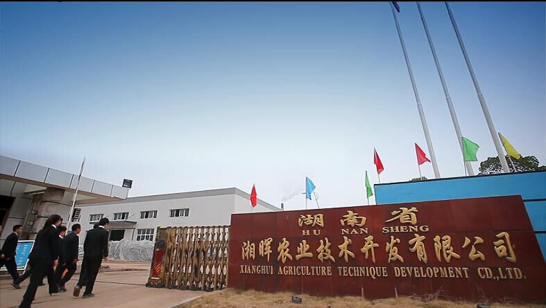 育苗穴盤廠家